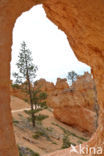 Bryce Canyon National park