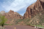 Capitol Reef National Park