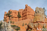 Capitol Reef National Park