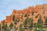 Capitol Reef National Park