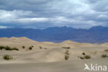 Death valley National Park