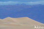 Death valley National Park