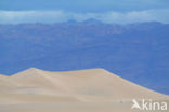 Death valley National Park