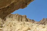 Death valley National Park