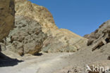 Death valley National Park