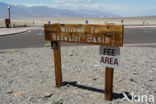 Death valley National Park