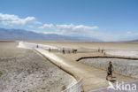 Death valley National Park