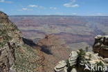 Grand Canyon National Park