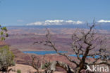 Grand Canyon National Park