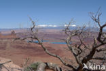 Grand Canyon National Park