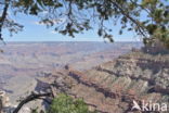 Grand Canyon National Park