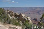 Grand Canyon National Park