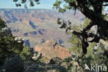 Grand Canyon National Park