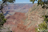 Grand Canyon National Park