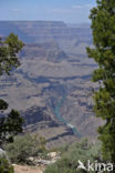 Grand Canyon National Park