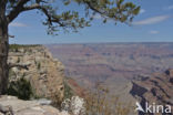 Grand Canyon National Park