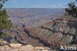 Grand Canyon National Park