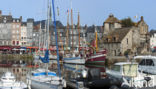 Honfleur