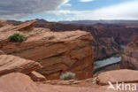 Horseshoe Bend