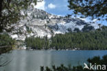 Kings Canyon National Park