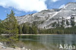 Kings Canyon National Park