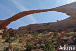 Landscape arch