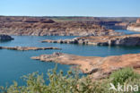 Lake Powell