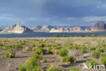 Lake Powell