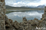 Mono Lake