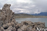 Mono Lake