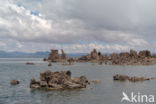 Mono Lake