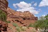 Monument Valley Navajo Tribal Park