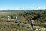 Parc naturel régional du Livradois Forez