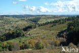 Parc naturel régional du Livradois Forez