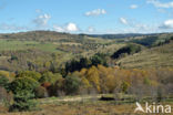 Parc naturel régional du Livradois Forez