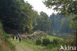 Parc naturel régional du Livradois Forez