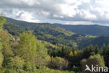 Parc naturel régional du Livradois Forez