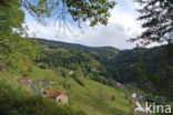 Parc naturel régional du Livradois Forez