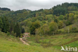 Parc naturel régional du Livradois Forez