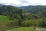 Parc naturel régional du Livradois Forez