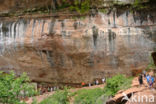 Zion National Park