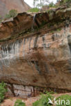 Zion National Park