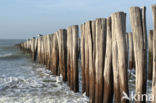 Domburg