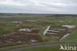 Nationaal Park Oosterschelde