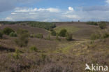 Nationaal Park Veluwezoom