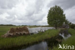 Nationaal Park Weerribben-Wieden