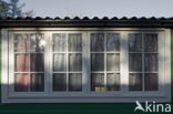 Netherlands open air museum