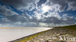 Waddensea