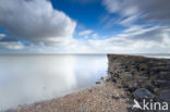 Waddensea