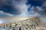 Waddensea